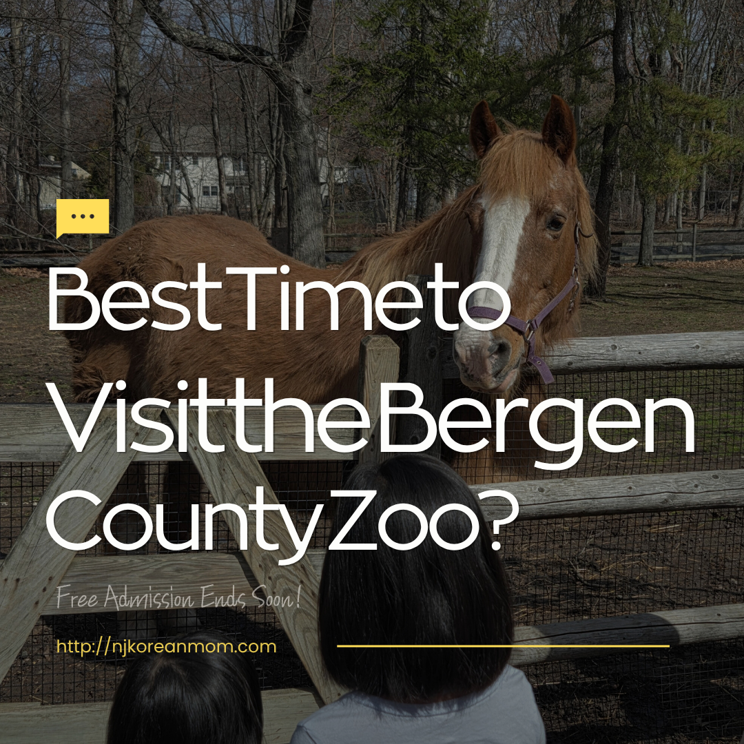 Why Now is the Best Time to Visit Bergen County Zoo (Free Admission Ends Soon!)