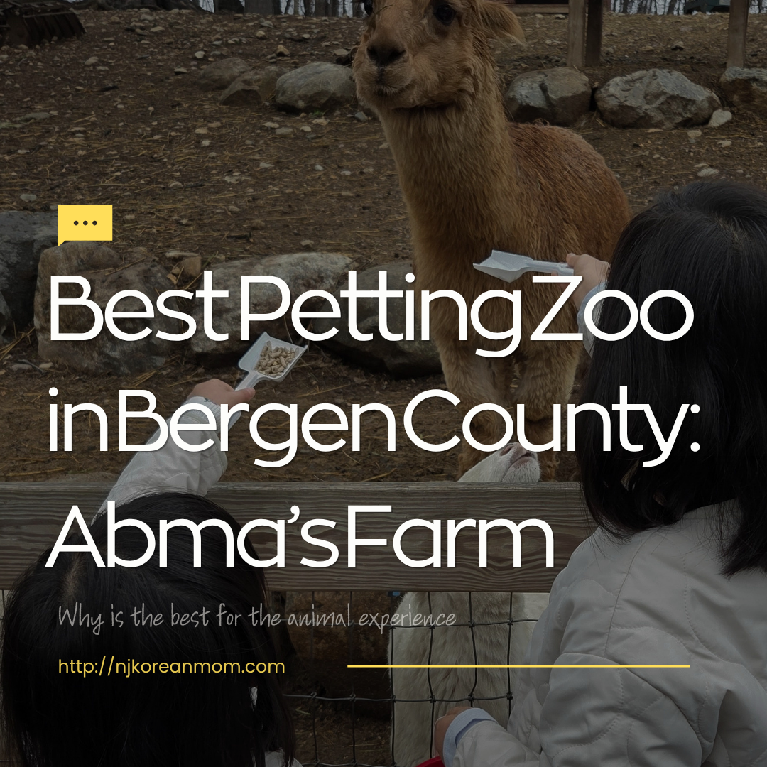 Why Abma’s Farm is the Best Petting Zoo in Bergen County
